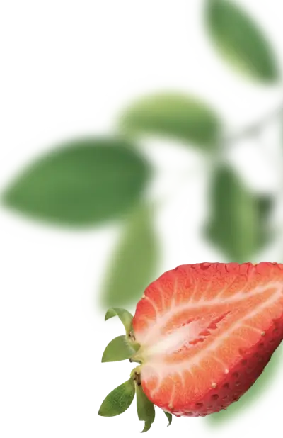 Декоративные фрукты