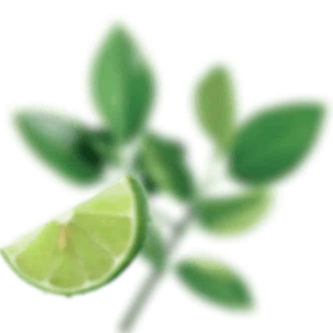 Декоративные продукты здорового питания